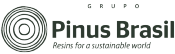 Pinus Brasil - 