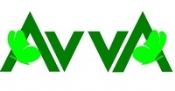Avva - 