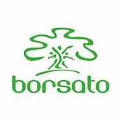 Borsato Industrial - 